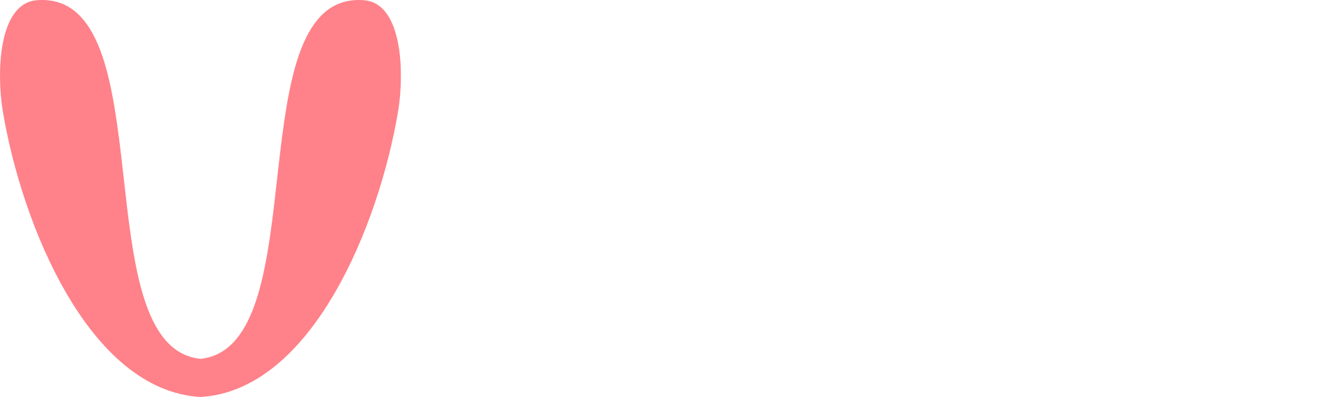 Vali Logo